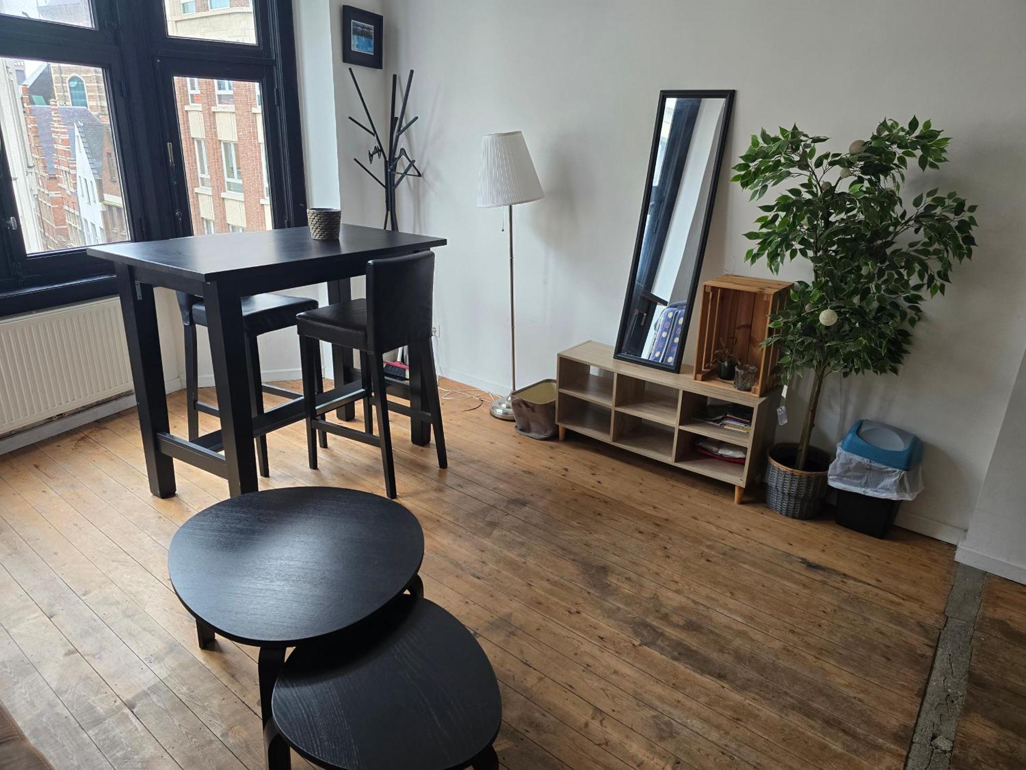 Den Gulden Hoorn Apartment Антверпен Екстериор снимка